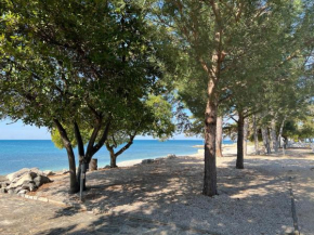 Hotel Villa Rosetta